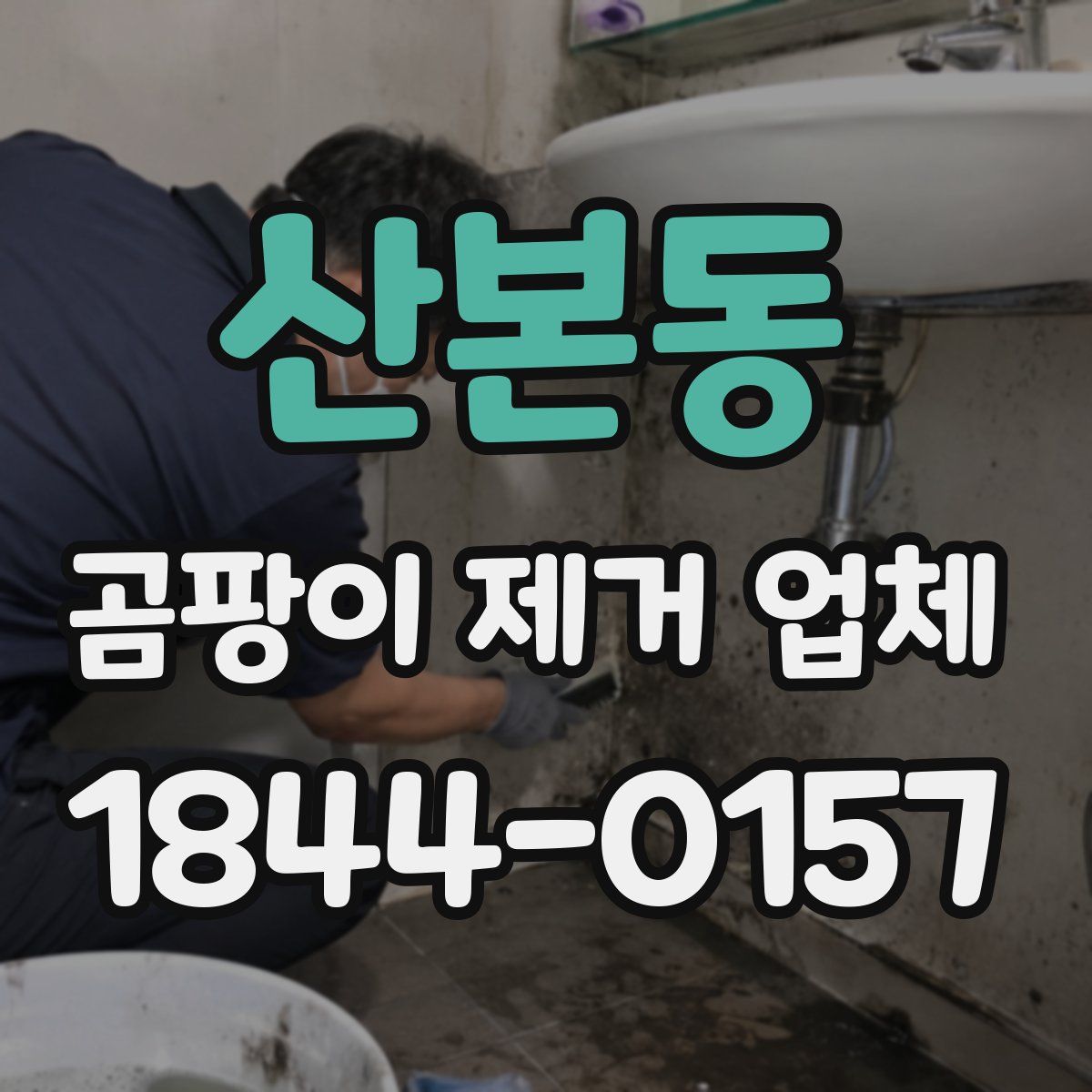 산본동 곰팡이 제거 업체