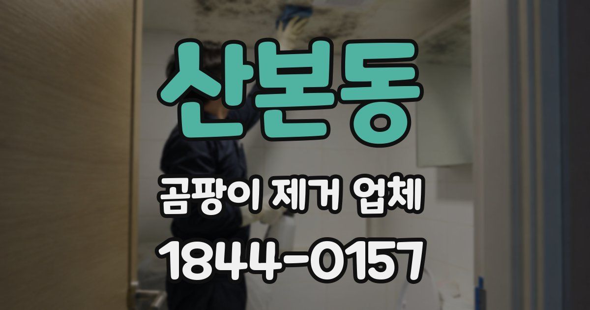 산본동 곰팡이 제거 업체