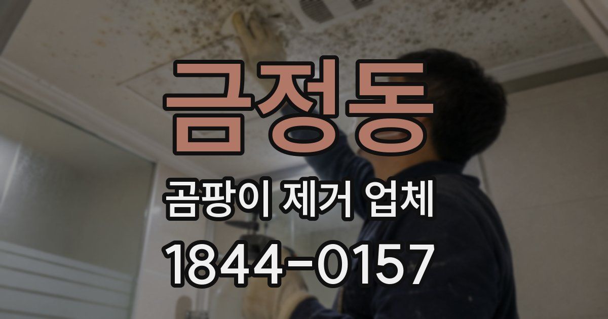금정동 곰팡이 제거 업체