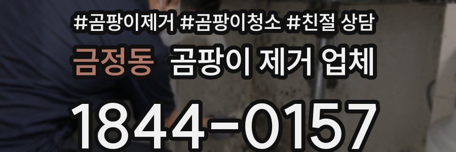 금정동 곰팡이 제거 업체
