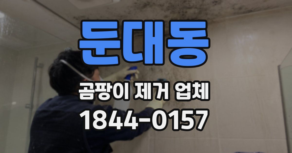 둔대동 곰팡이 제거 업체