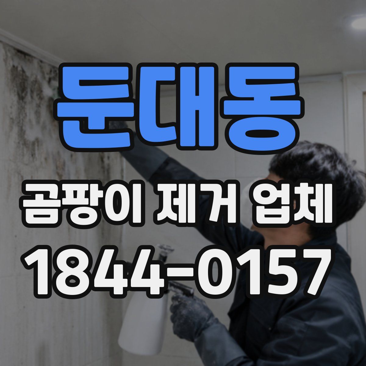 둔대동 곰팡이 제거 업체