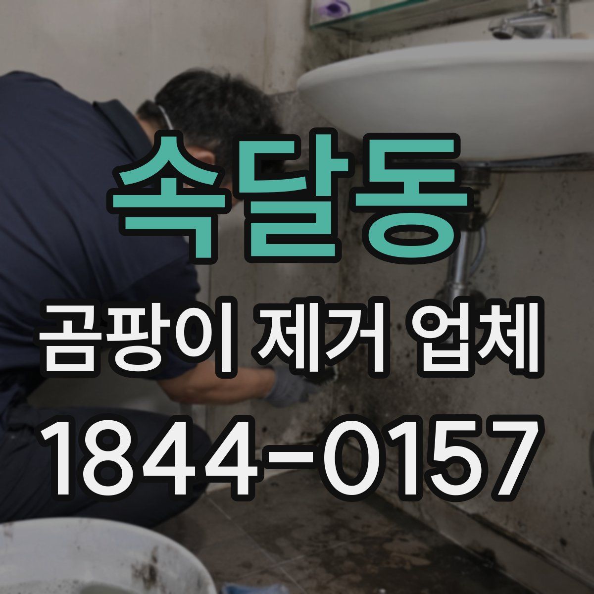 속달동 곰팡이 제거 업체