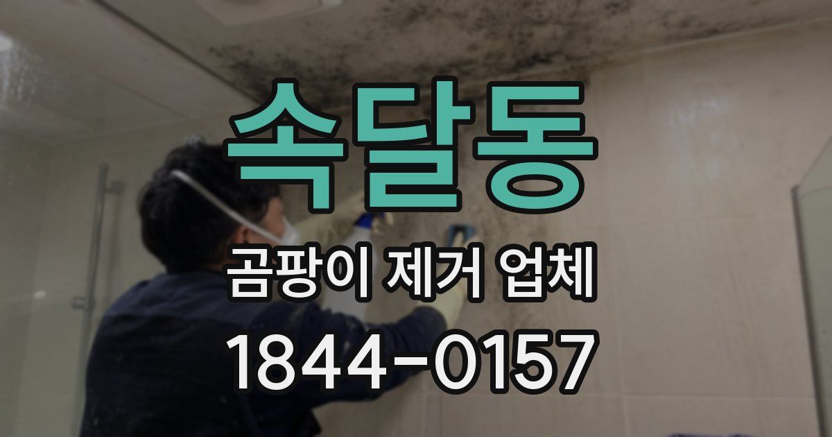 속달동 곰팡이 제거 업체