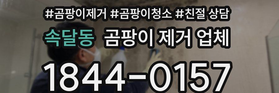 속달동 곰팡이 제거 업체