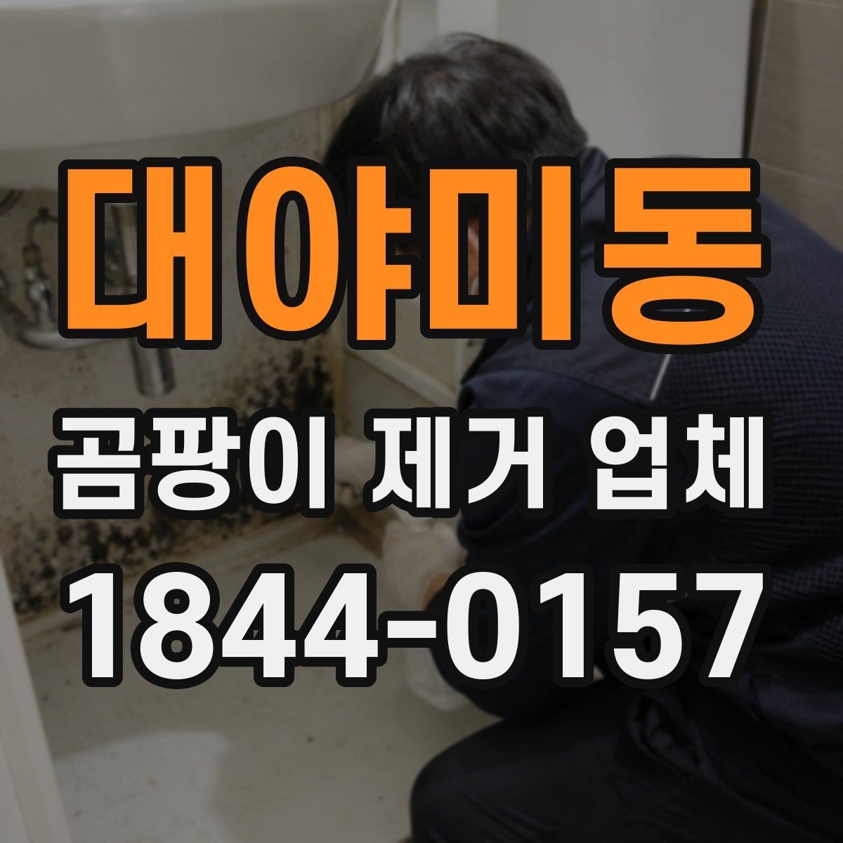 대야미동 곰팡이 제거 업체 선택 시 사전 상담이 중요한 이유