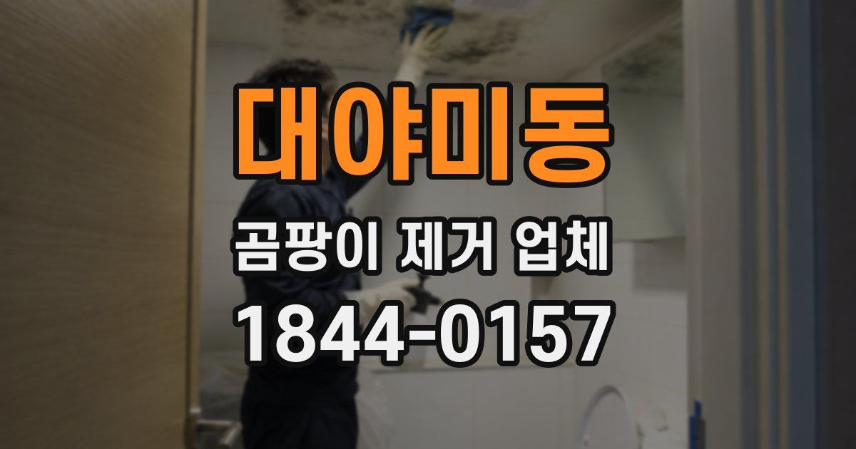 대야미동 곰팡이 제거 업체
