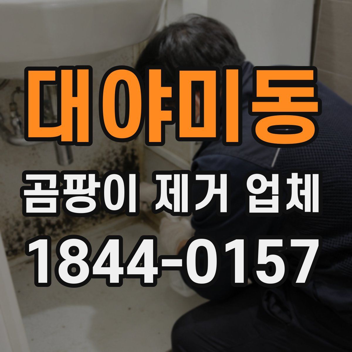 대야미동 곰팡이 제거 업체