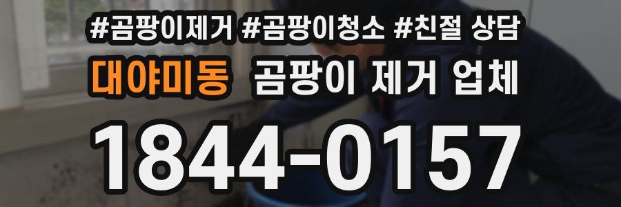 대야미동 곰팡이 제거 업체
