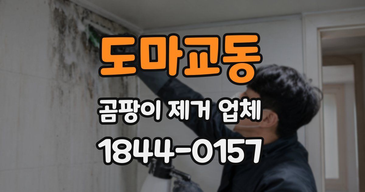 도마교동 곰팡이 제거 업체