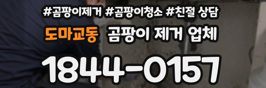 도마교동 곰팡이 제거 업체