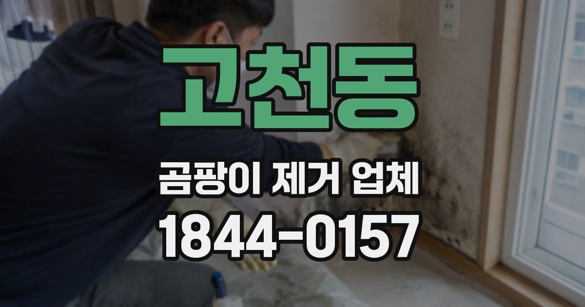 고천동 곰팡이 제거 업체
