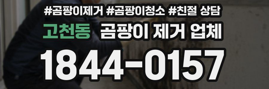 고천동 곰팡이 제거 업체