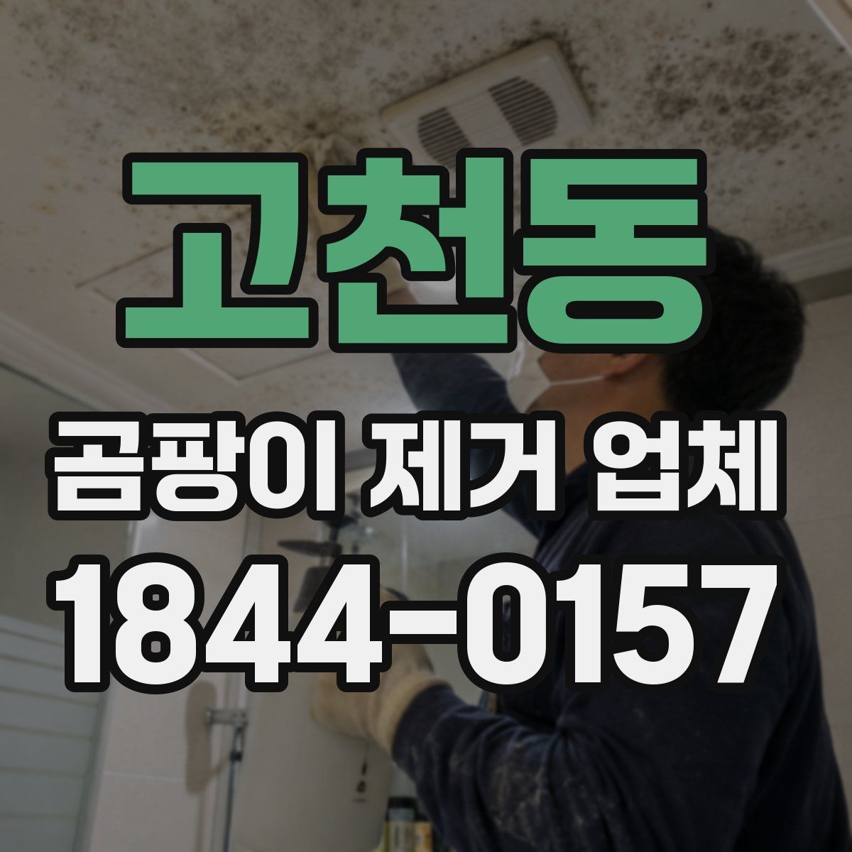 고천동 곰팡이 제거 업체