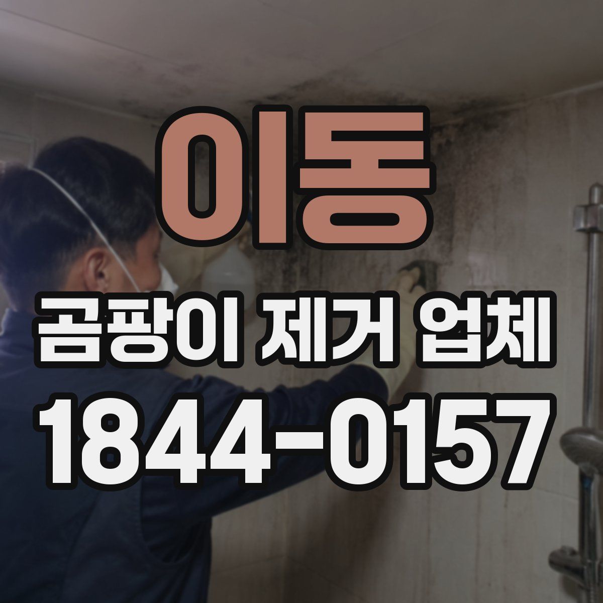 이동 곰팡이 제거 업체