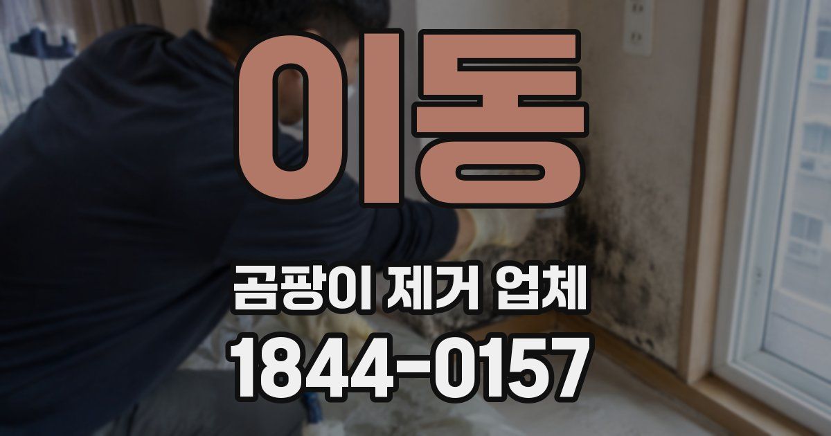 이동 곰팡이 제거 업체