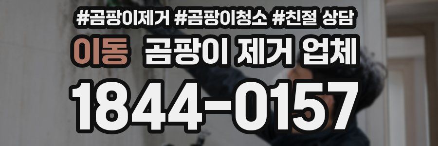 이동 곰팡이 제거 업체
