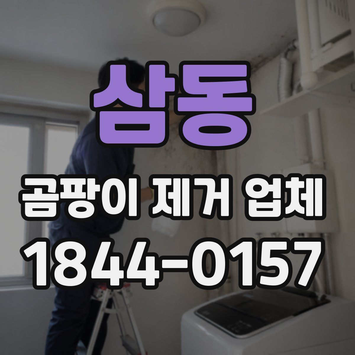 삼동 곰팡이 제거 업체