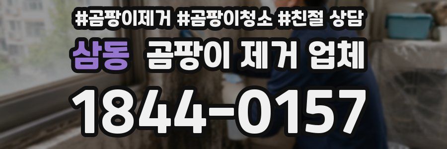 삼동 곰팡이 제거 업체