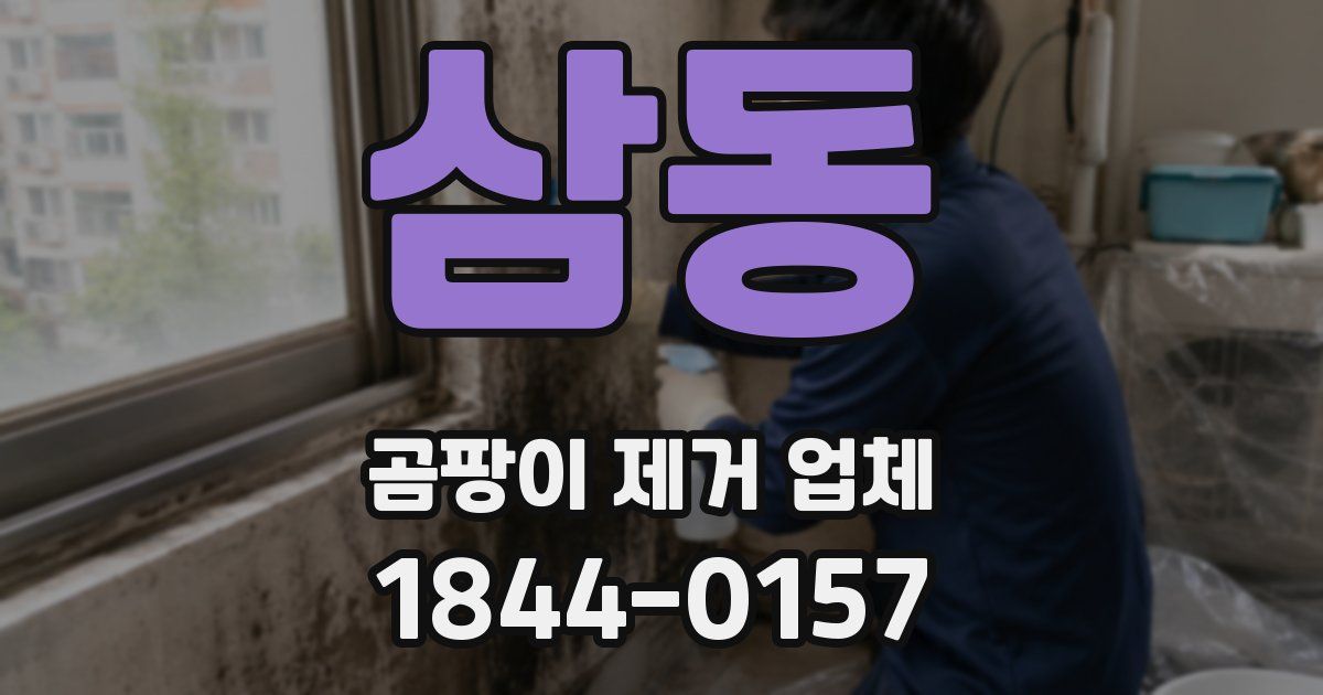 삼동 곰팡이 제거 업체