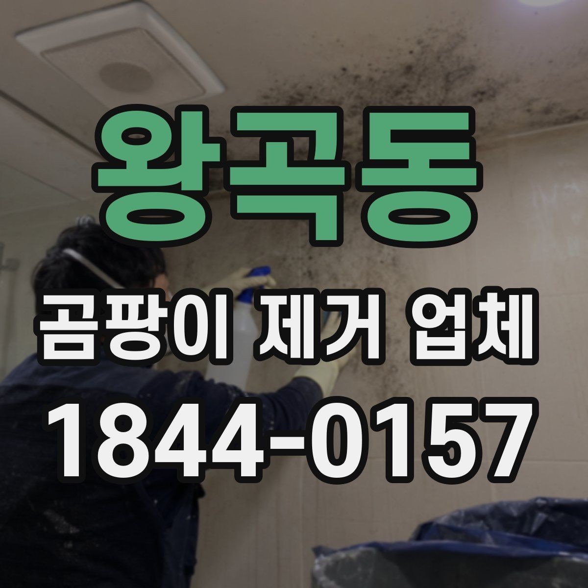 왕곡동 곰팡이 제거 업체 상담부터 완료까지 흐름