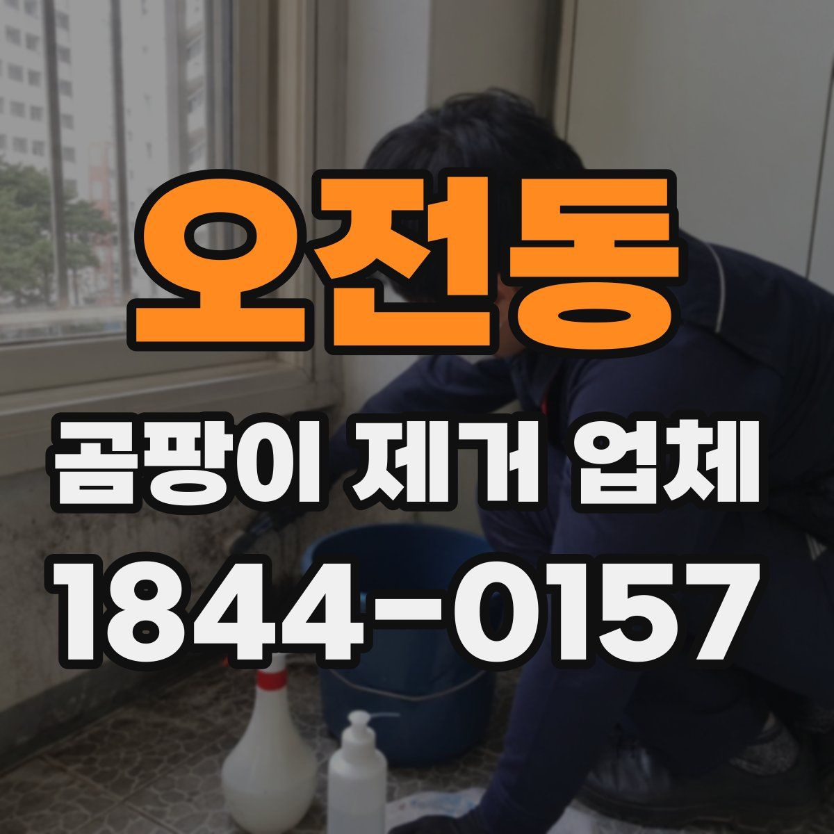 오전동 곰팡이 제거 업체