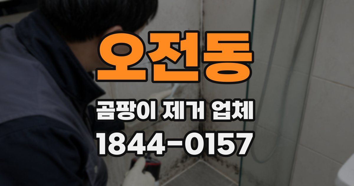 오전동 곰팡이 제거 업체