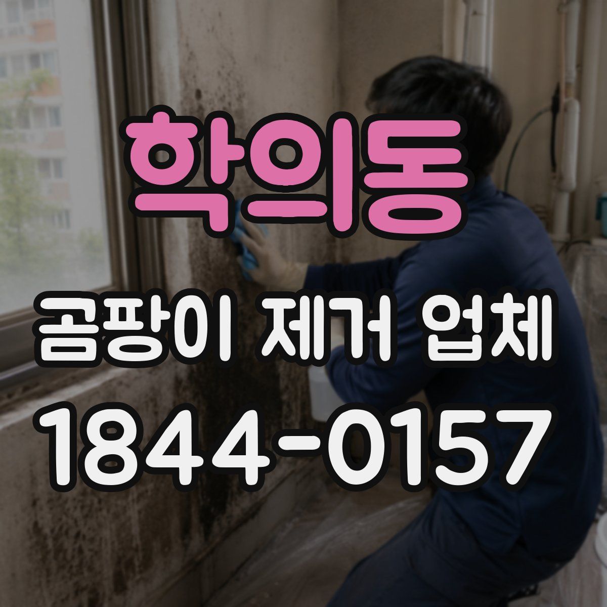 학의동 곰팡이 제거 업체