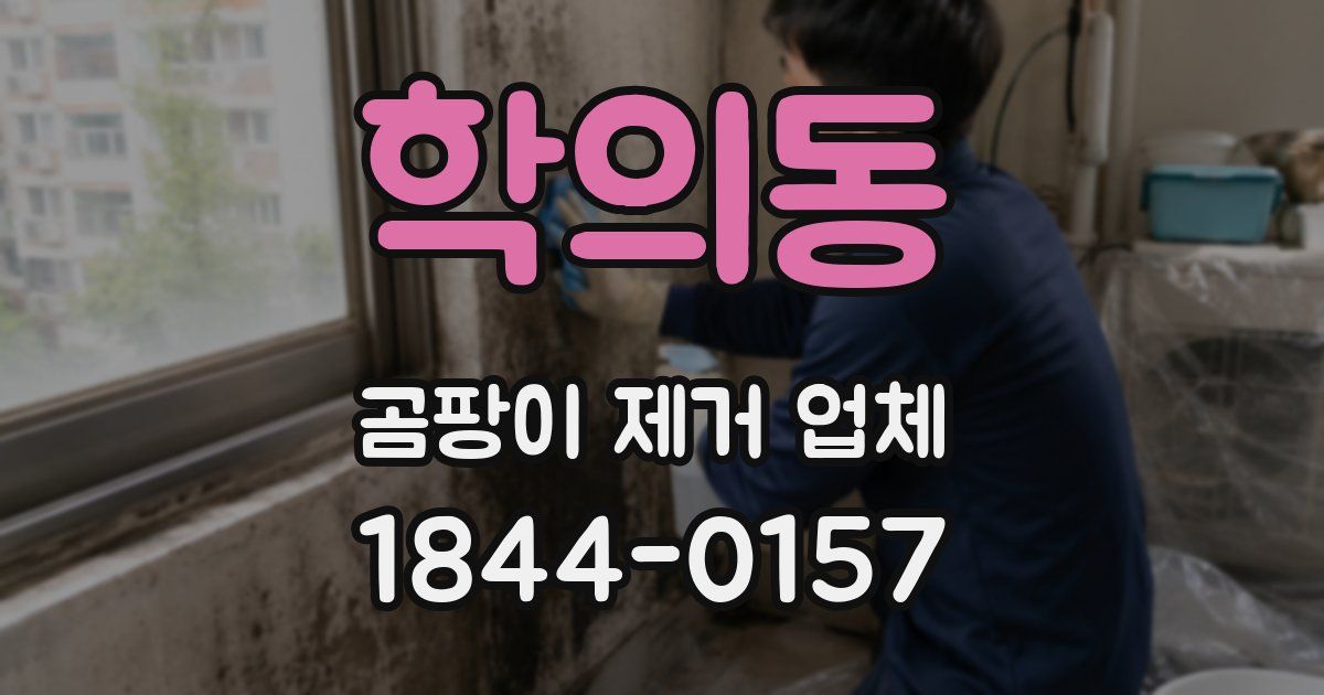 학의동 곰팡이 제거 업체