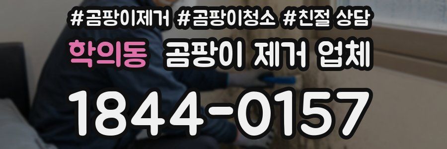 학의동 곰팡이 제거 업체