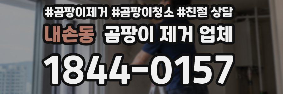 내손동 곰팡이 제거 업체