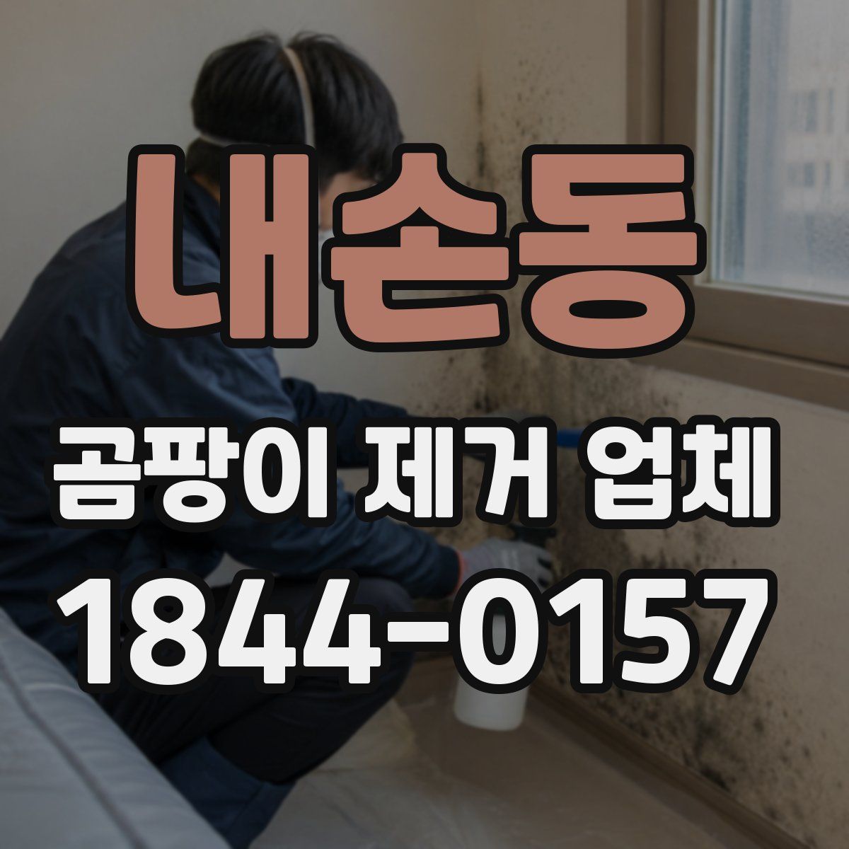 내손동 곰팡이 제거 업체