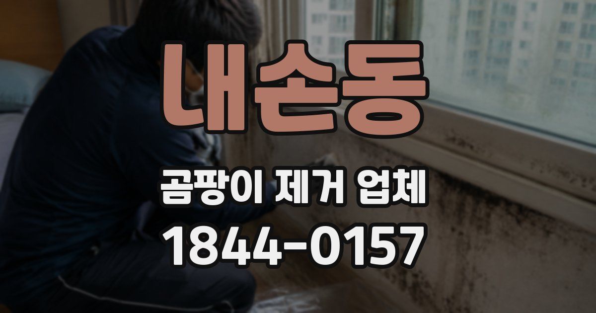 내손동 곰팡이 제거 업체