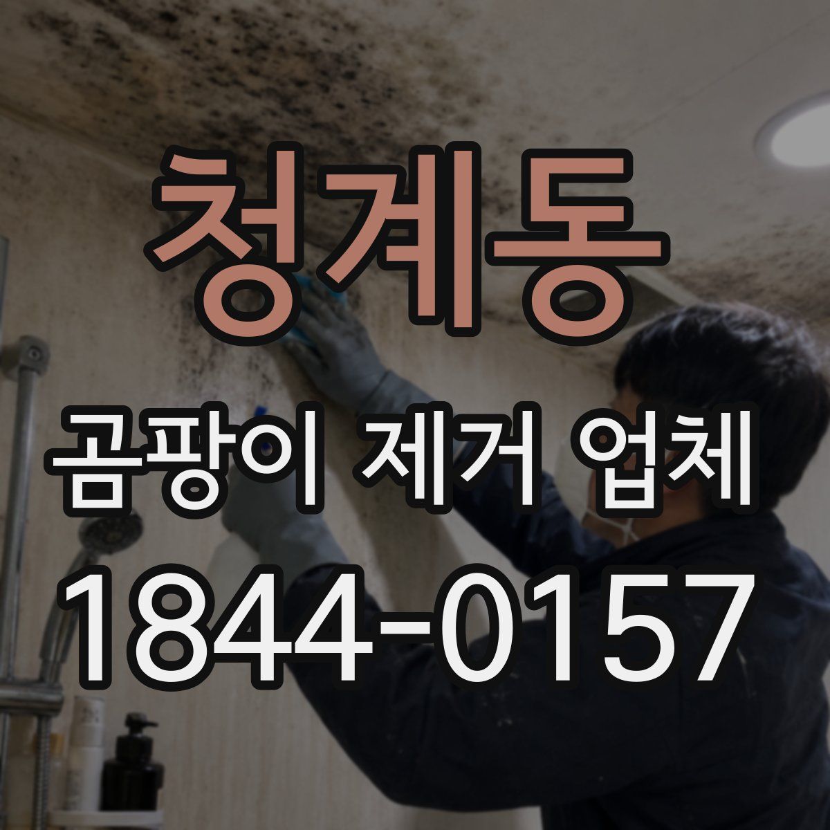 청계동 곰팡이 제거 업체