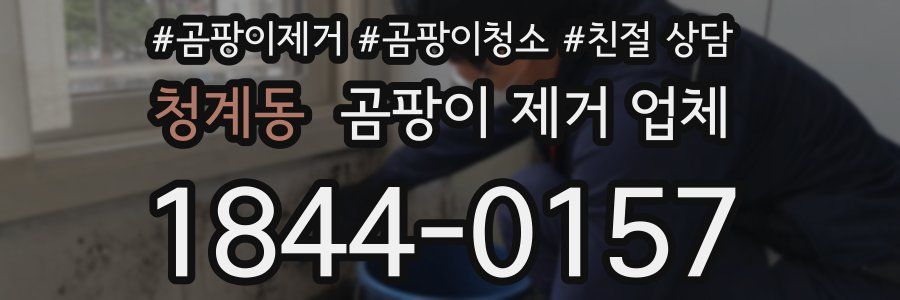 청계동 곰팡이 제거 업체