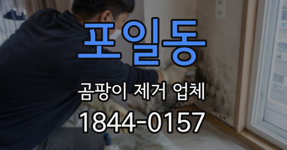 포일동 곰팡이 제거 업체