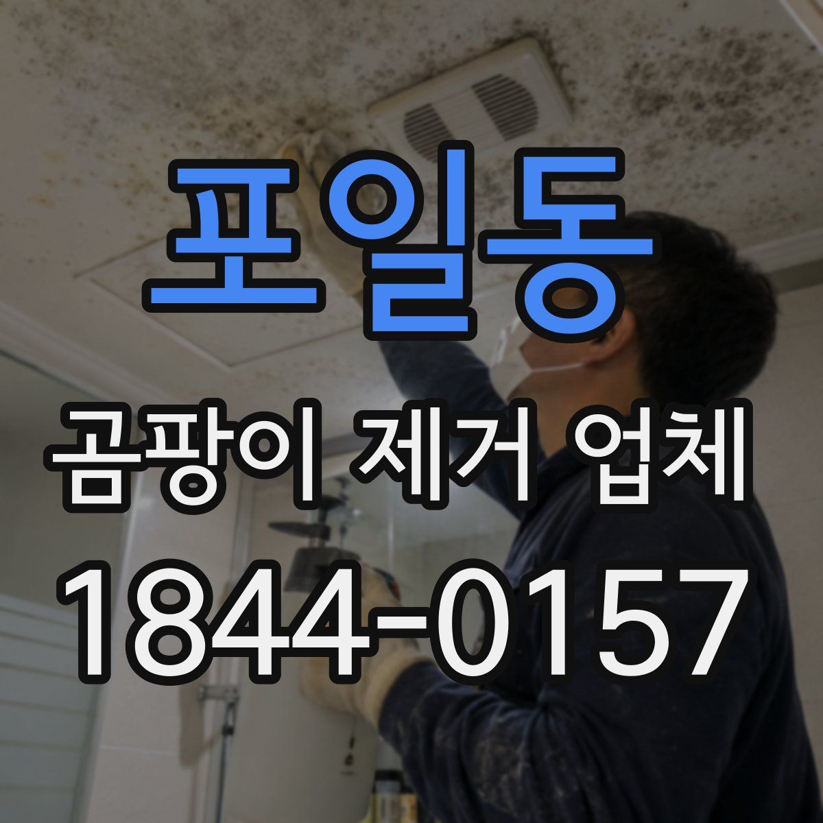 포일동 곰팡이 제거 업체