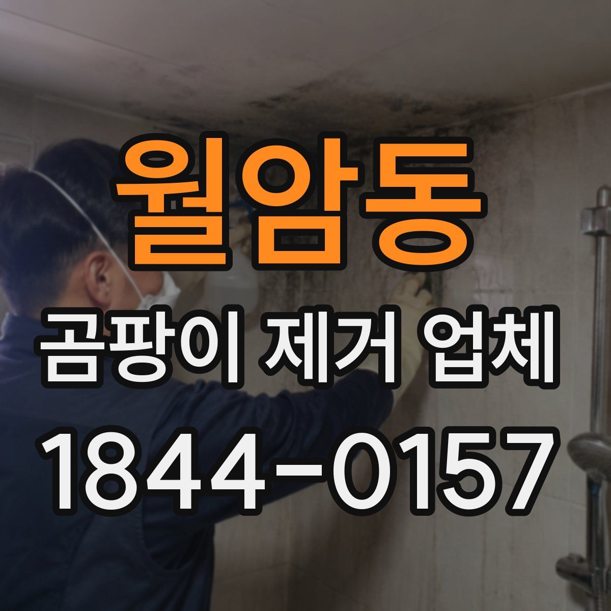 월암동 곰팡이 제거 업체