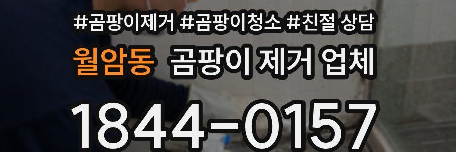 월암동 곰팡이 제거 업체