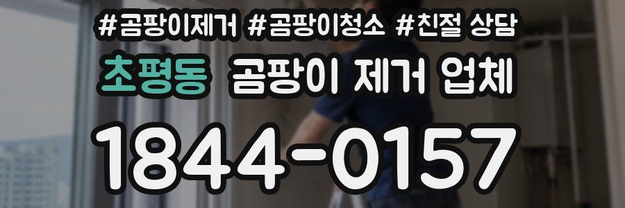초평동 곰팡이 제거 업체
