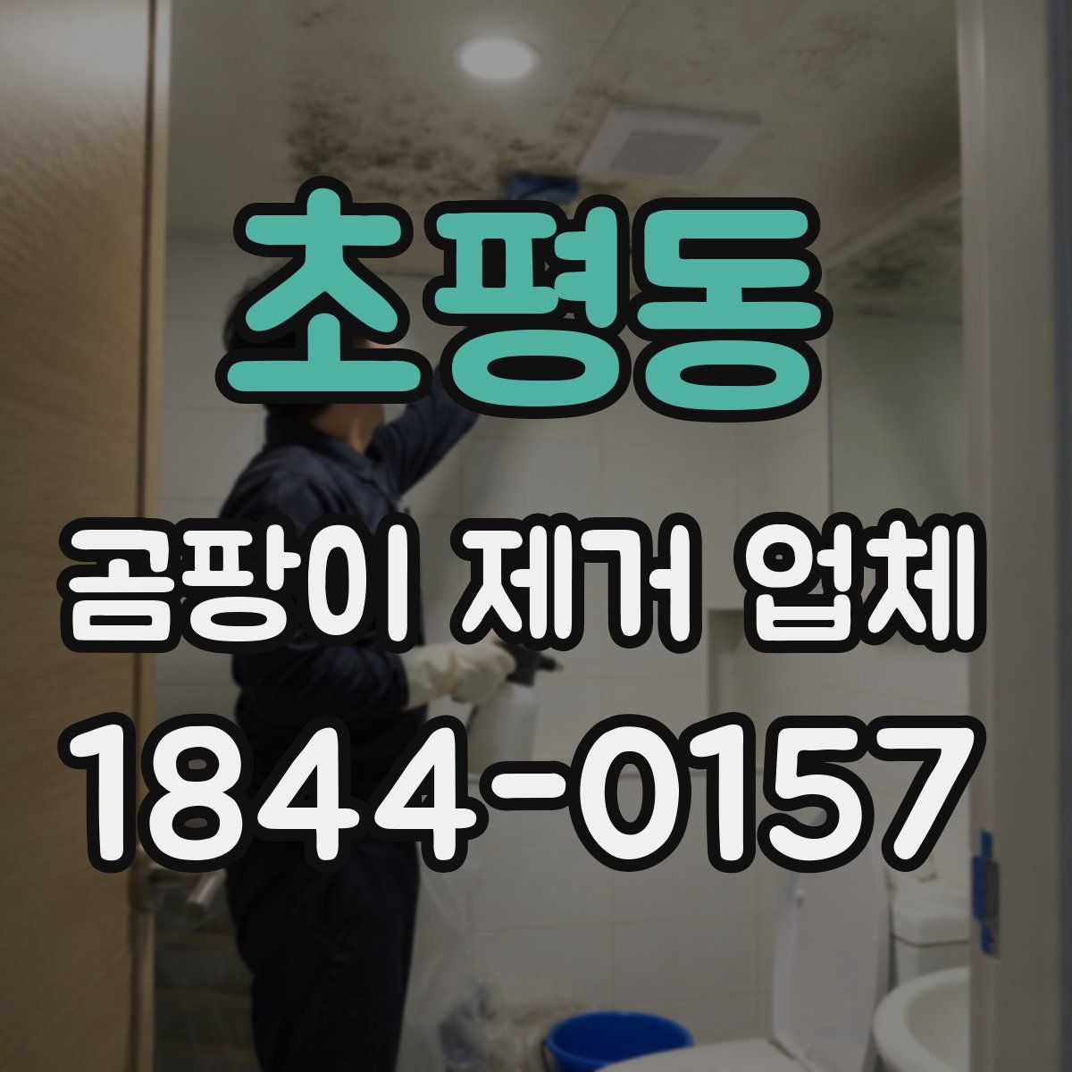 초평동 곰팡이 제거 업체