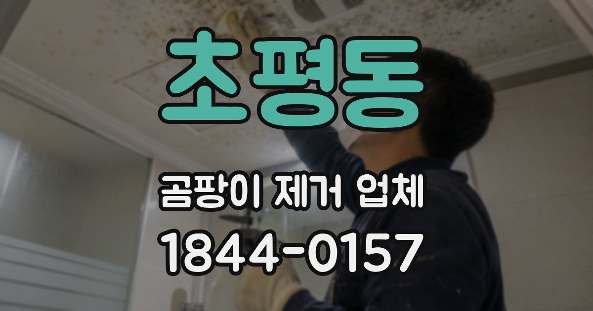 초평동 곰팡이 제거 업체