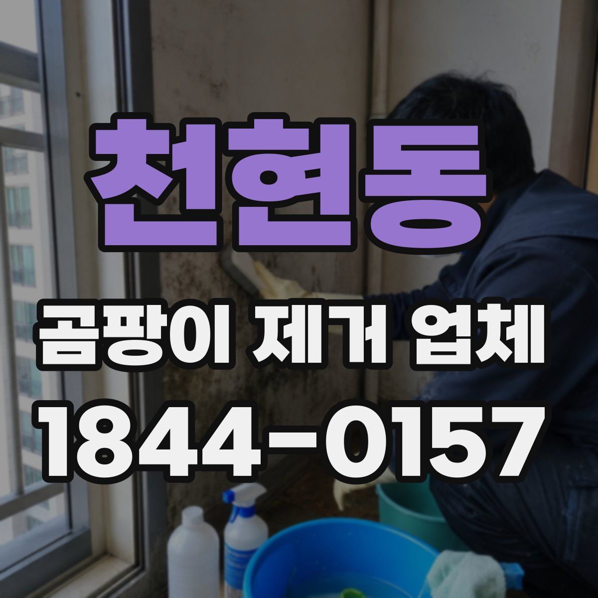 천현동 곰팡이 제거 업체