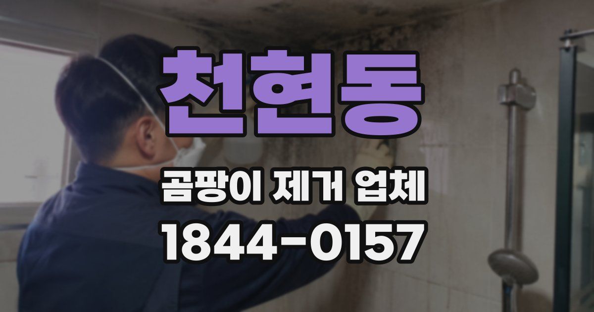 천현동 곰팡이 제거 업체