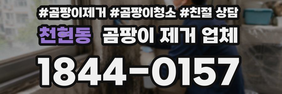 천현동 곰팡이 제거 업체