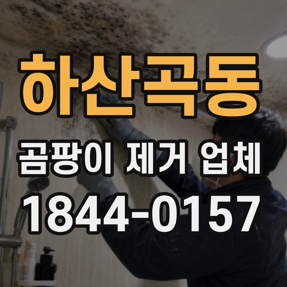 하산곡동 곰팡이 제거 업체