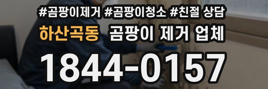 하산곡동 곰팡이 제거 업체