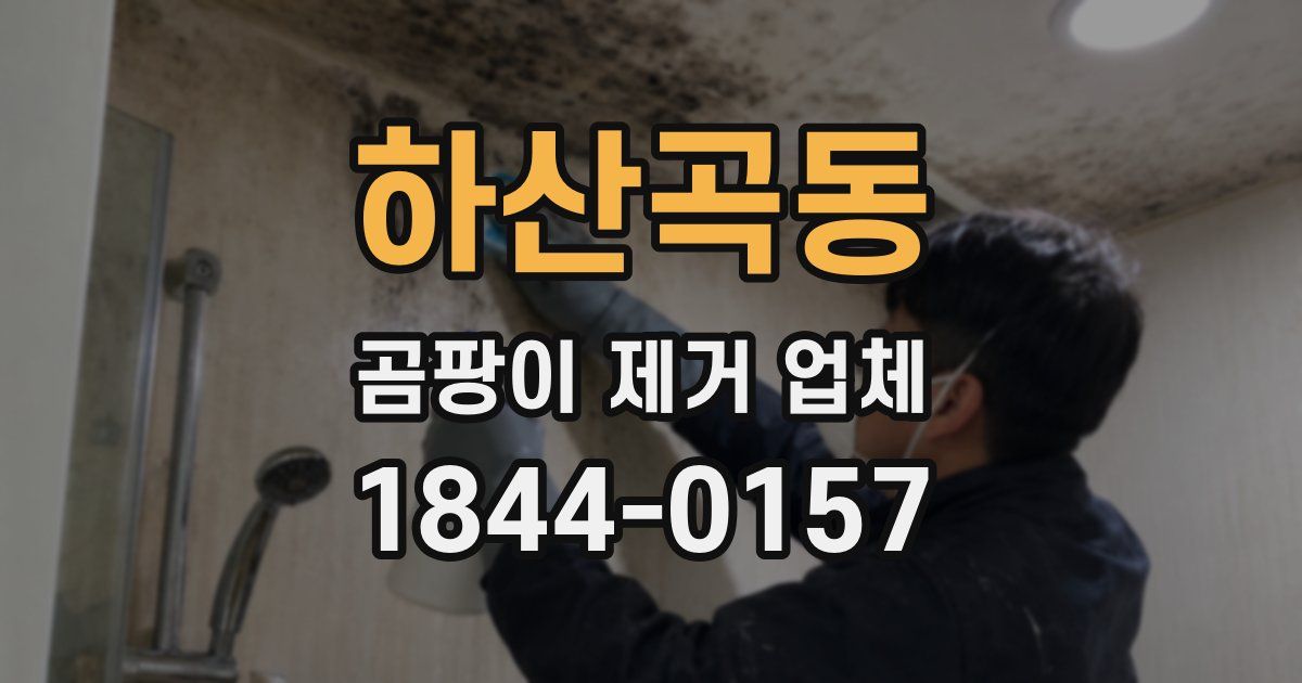 하산곡동 곰팡이 제거 업체