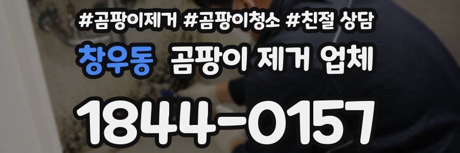 창우동 곰팡이 제거 업체