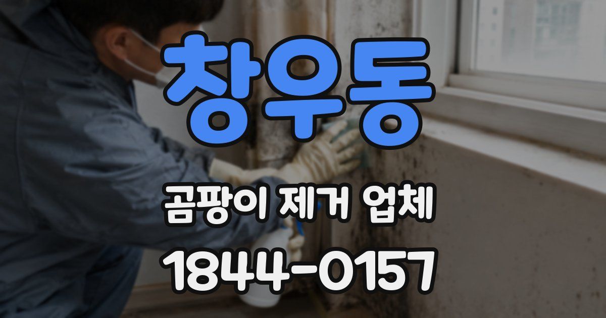 창우동 곰팡이 제거 업체